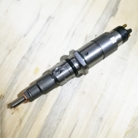 0445120123 Fuel Injector (3)